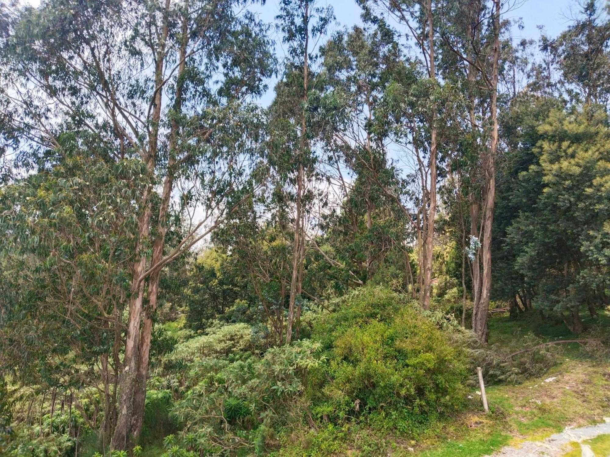Apartamento Bs Dreamz Ooty Exterior foto